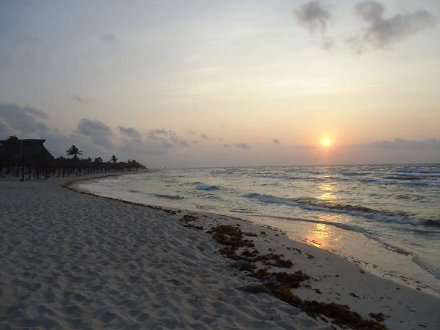 ai1246.photobucket.com_albums_gg607_AMAFRA_DSC02200640x480.jpg
