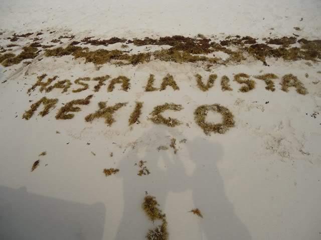 ai1246.photobucket.com_albums_gg607_AMAFRA_DSC02345640x480.jpg