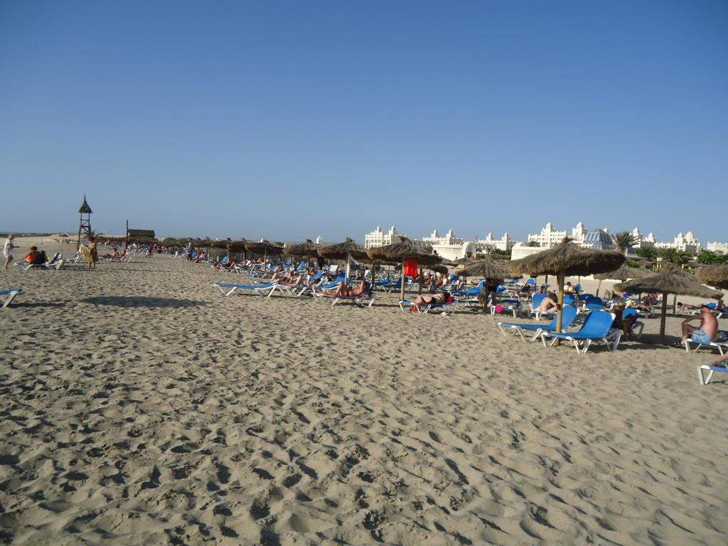 ai1246.photobucket.com_albums_gg607_AMAFRA_DSC03564.jpg