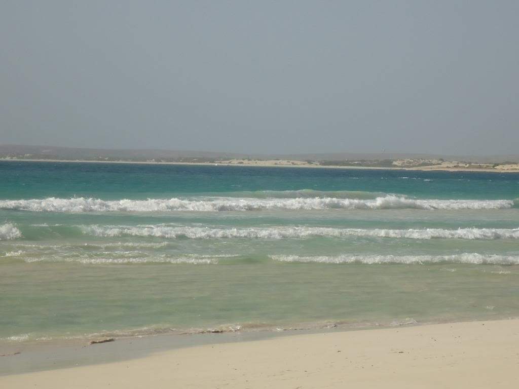 ai1246.photobucket.com_albums_gg607_AMAFRA_DSC03620.jpg