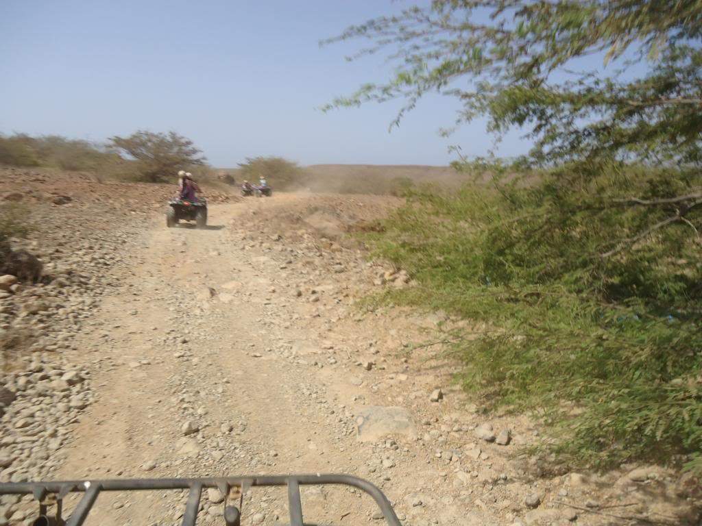 ai1246.photobucket.com_albums_gg607_AMAFRA_DSC03758.jpg