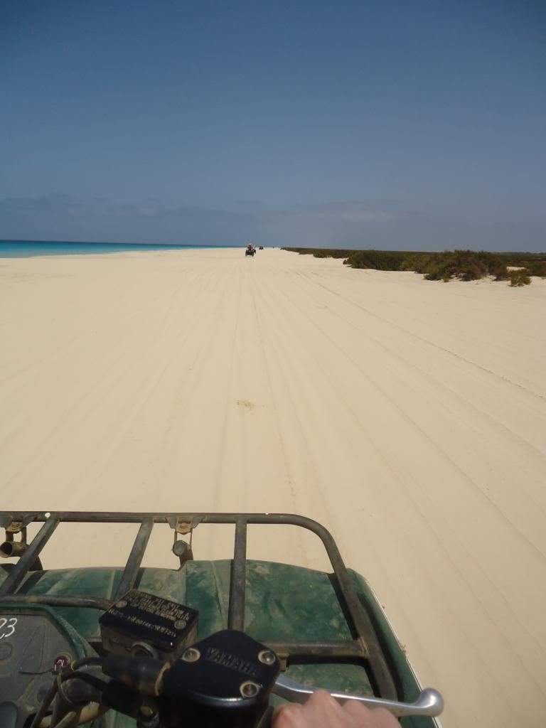 ai1246.photobucket.com_albums_gg607_AMAFRA_DSC03791.jpg