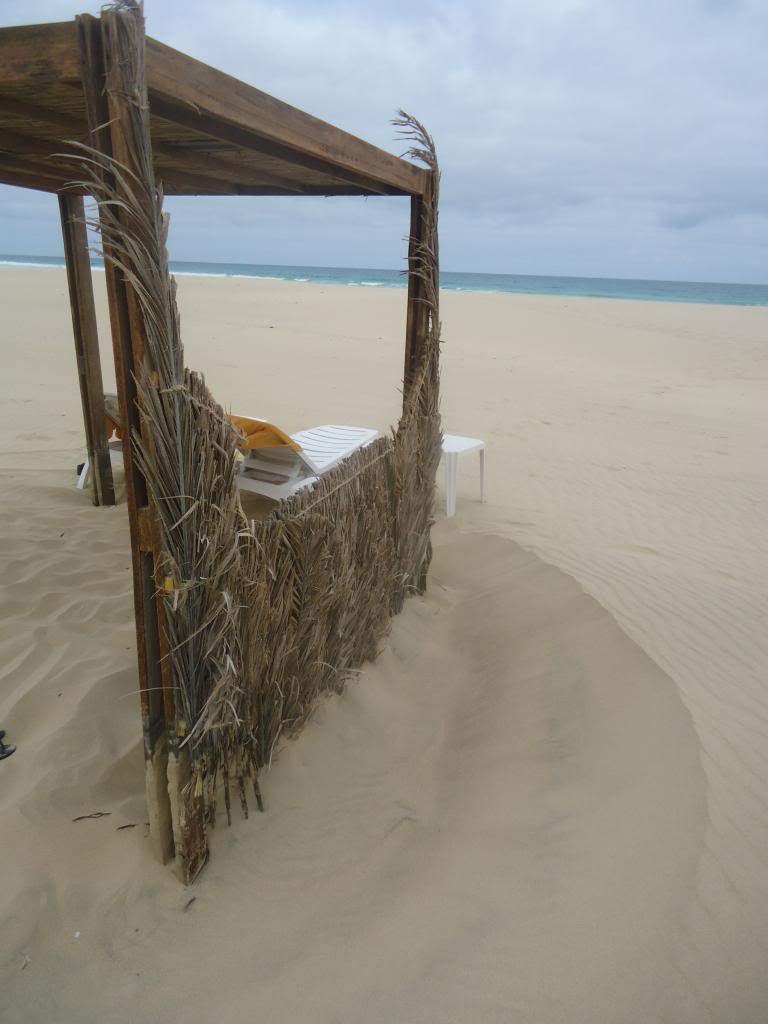 ai1246.photobucket.com_albums_gg607_AMAFRA_DSC03928.jpg