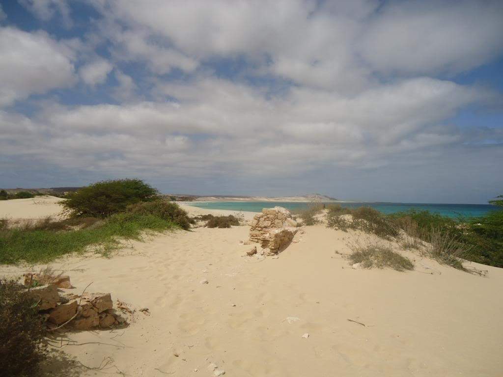 ai1246.photobucket.com_albums_gg607_AMAFRA_DSC03962.jpg