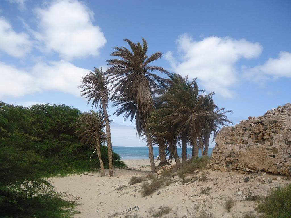 ai1246.photobucket.com_albums_gg607_AMAFRA_DSC03991.jpg