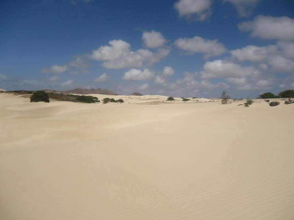 ai1246.photobucket.com_albums_gg607_AMAFRA_DSC04048.jpg