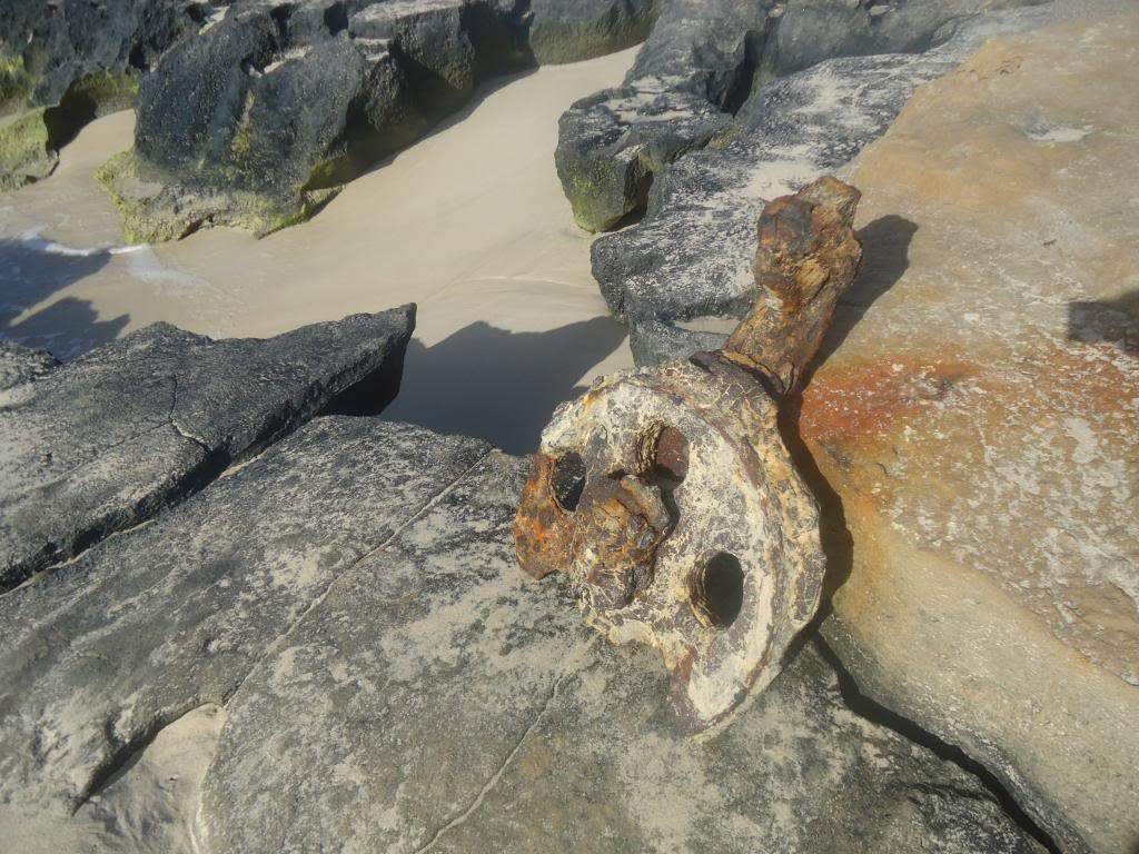 ai1246.photobucket.com_albums_gg607_AMAFRA_DSC04082.jpg