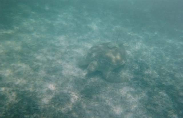 ai1246.photobucket.com_albums_gg607_AMAFRA_fotografia4.jpg