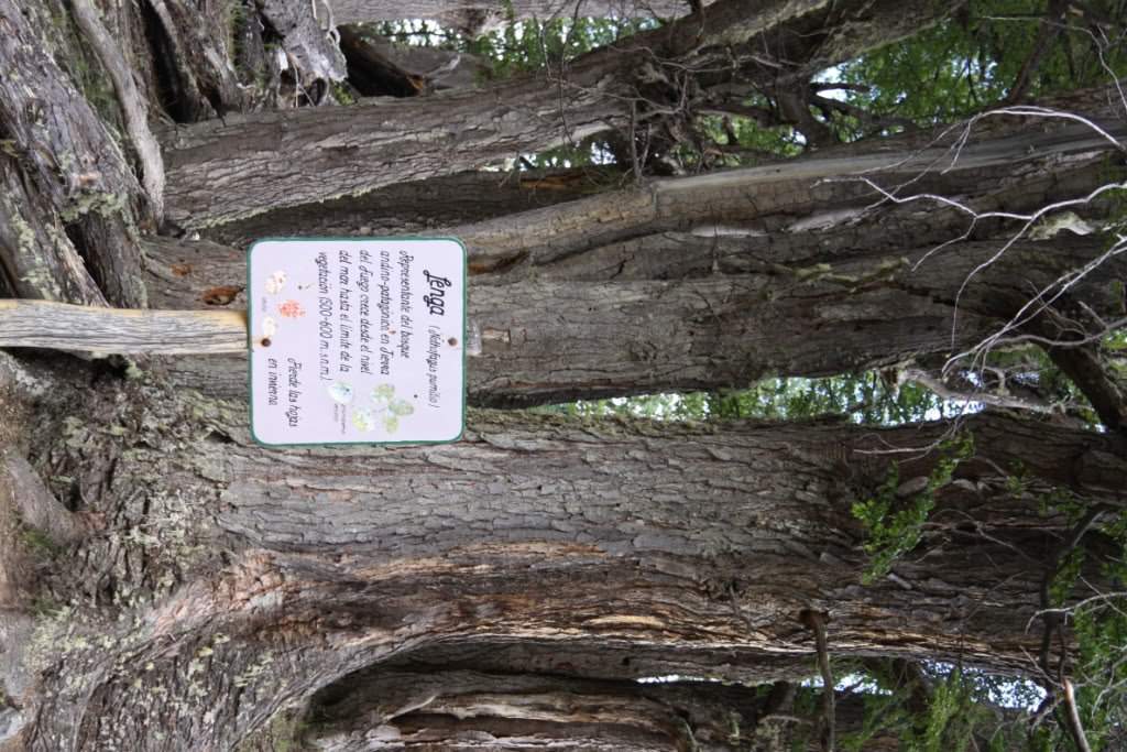 ai1249.photobucket.com_albums_hh504_mkimm011_IMG_0933.jpg_d57b9214c95980257155b78f81b0908c.jpg