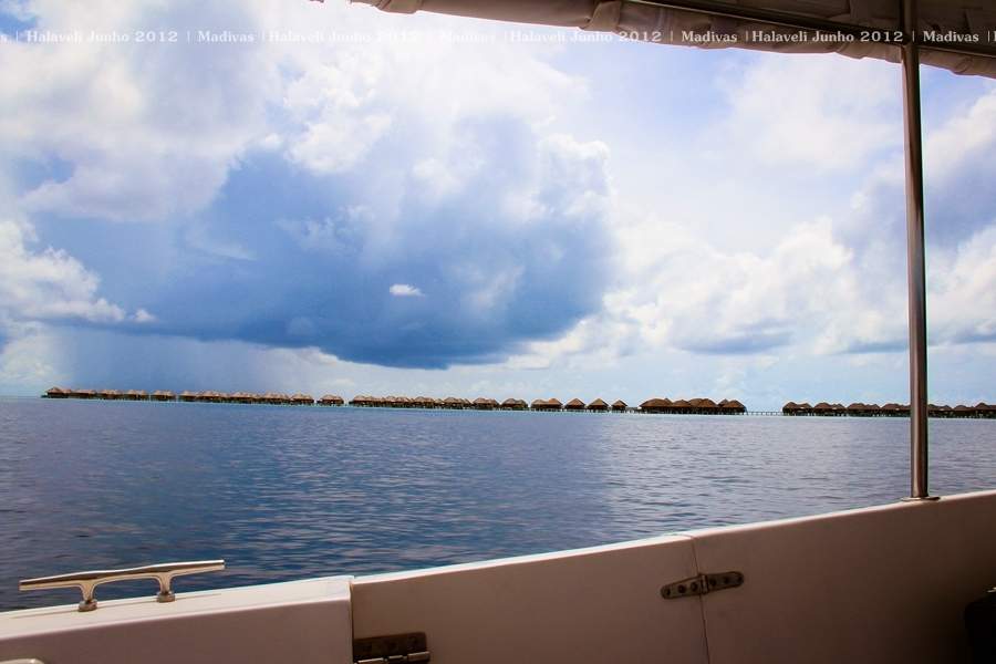 ai125.photobucket.com_albums_p48_LadyBlume_Lua_20de_20Mel_20Fo2b66dcfba640eaa39255c56166c7502a.jpg