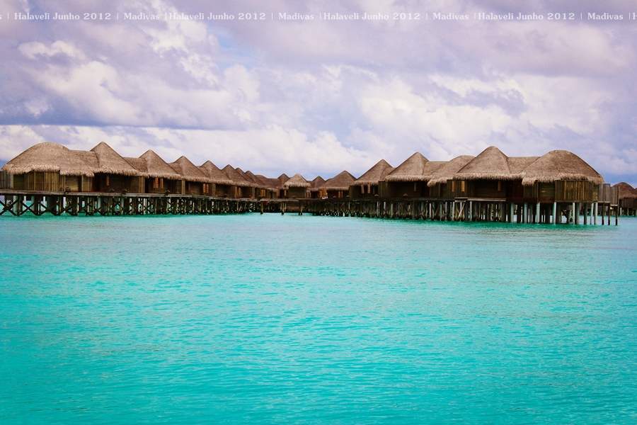 ai125.photobucket.com_albums_p48_LadyBlume_Lua_20de_20Mel_20Fo2d92c79d66a30ba8919d0ce3d48a0b0e.jpg