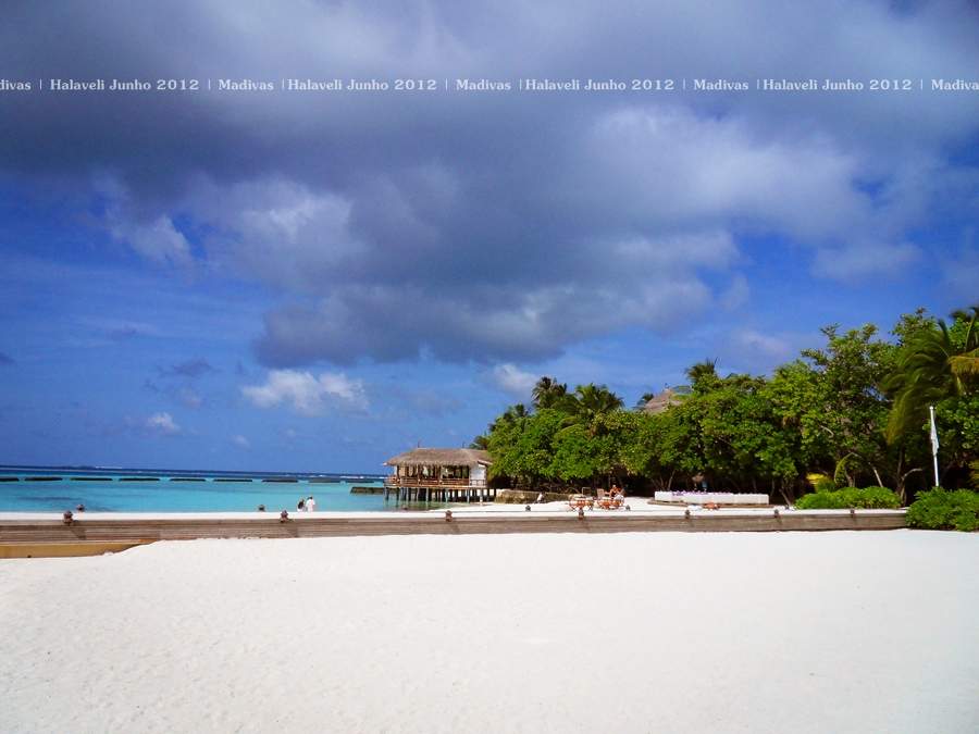 ai125.photobucket.com_albums_p48_LadyBlume_Lua_20de_20Mel_20Fo47998ed42a4e6398bb0256ef9126ac16.jpg