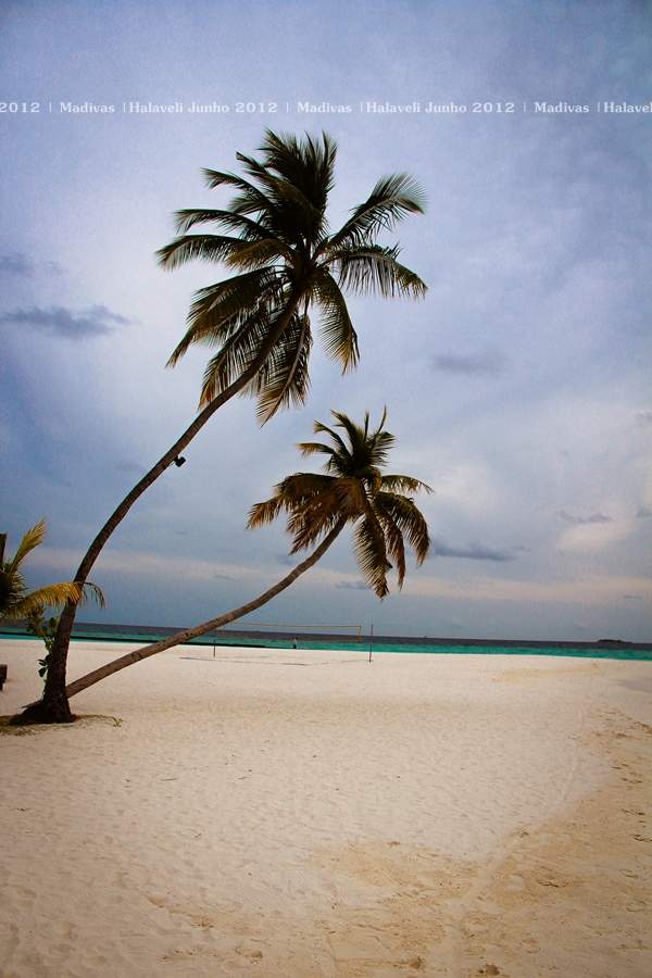 ai125.photobucket.com_albums_p48_LadyBlume_Lua_20de_20Mel_20Fo510c2094bb71ae6dff55185d6533a0d7.jpg
