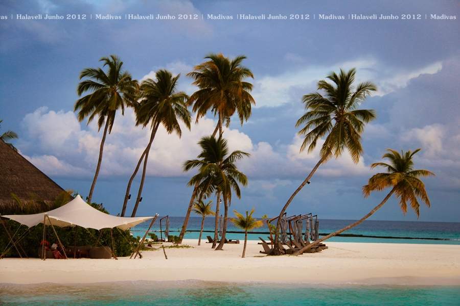 ai125.photobucket.com_albums_p48_LadyBlume_Lua_20de_20Mel_20Fo67dff211207b17e92fef1729ee029c62.jpg