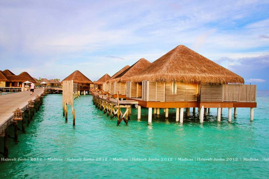 ai125.photobucket.com_albums_p48_LadyBlume_Lua_20de_20Mel_20Fo6eedabb9d1092f65a28693b41d6ffcd2.jpg