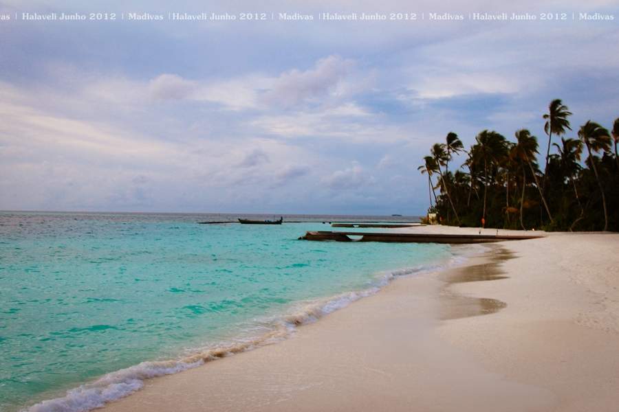 ai125.photobucket.com_albums_p48_LadyBlume_Lua_20de_20Mel_20Fo7fdbcde43e09b28c293ff4b1cc193d27.jpg
