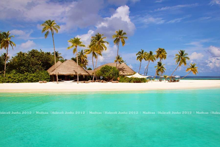 ai125.photobucket.com_albums_p48_LadyBlume_Lua_20de_20Mel_20Foaf2bc148748c2ba42461f2f5e7b423b6.jpg