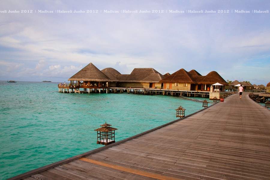 ai125.photobucket.com_albums_p48_LadyBlume_Lua_20de_20Mel_20Fod77738f3abc1267444cf274482af2854.jpg