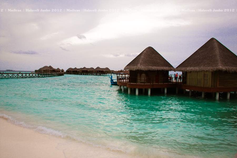 ai125.photobucket.com_albums_p48_LadyBlume_Lua_20de_20Mel_20Fof030a9a5a95a02432c1a6bfcb176a1b8.jpg