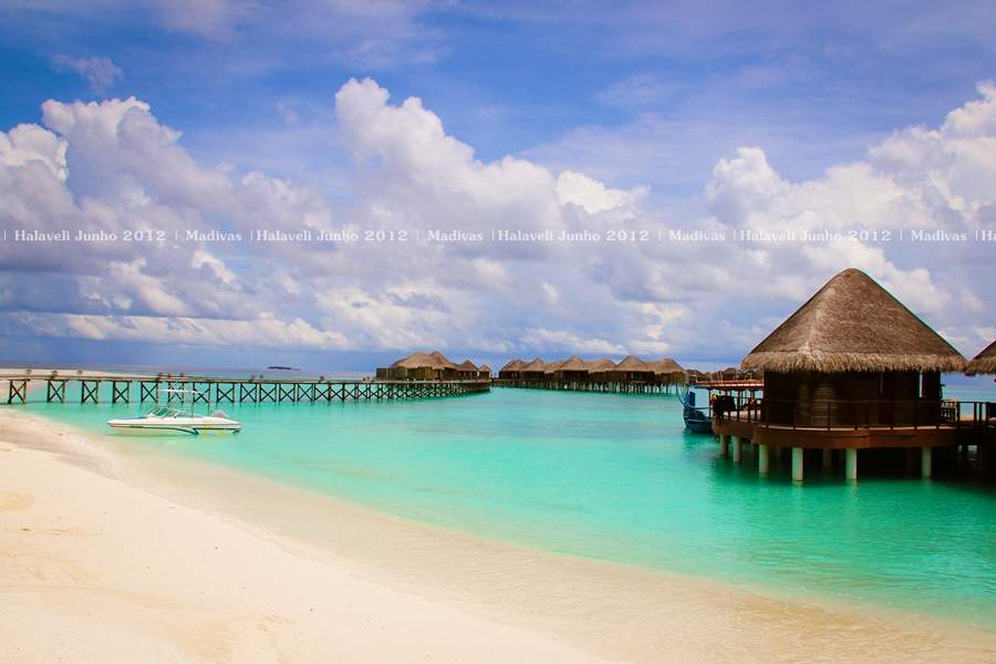 ai125.photobucket.com_albums_p48_LadyBlume_Lua_20de_20Mel_20Fof0c9f05d500025aa65bf8da3509a3707.jpg