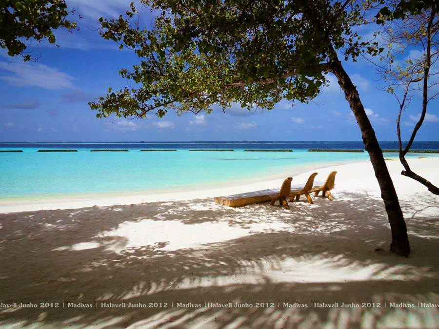 ai125.photobucket.com_albums_p48_LadyBlume_Lua_20de_20Mel_20Fof693ca89410173d73cf469b91b57467b.jpg