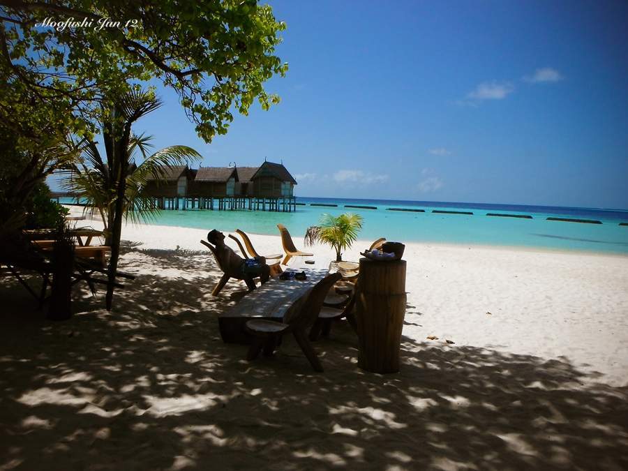 ai125.photobucket.com_albums_p48_LadyBlume_Lua_20de_20Mel_22062012_DSCF2101_zpsc294a723.jpg
