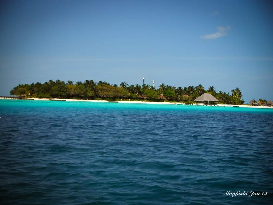 ai125.photobucket.com_albums_p48_LadyBlume_Lua_20de_20Mel_25062012_DSCF3167_zps9e14b384.jpg