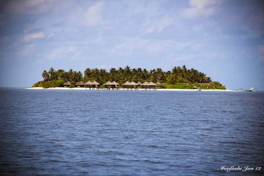 ai125.photobucket.com_albums_p48_LadyBlume_Lua_20de_20Mel_27062012_IMG_2975_zps392f406c.jpg