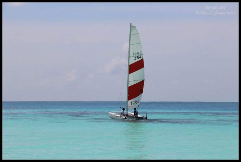 ai125.photobucket.com_albums_p48_LadyBlume_Lua_20de_20Mel_IMG_2511aR.jpg