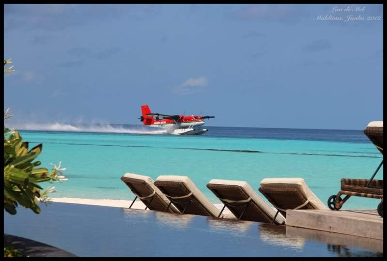 ai125.photobucket.com_albums_p48_LadyBlume_Lua_20de_20Mel_IMG_2533aR.jpg
