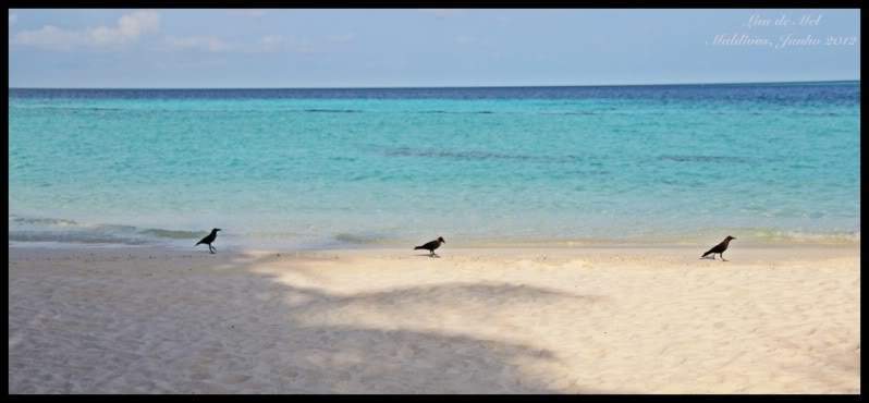 ai125.photobucket.com_albums_p48_LadyBlume_Lua_20de_20Mel_IMG_2597aR.jpg