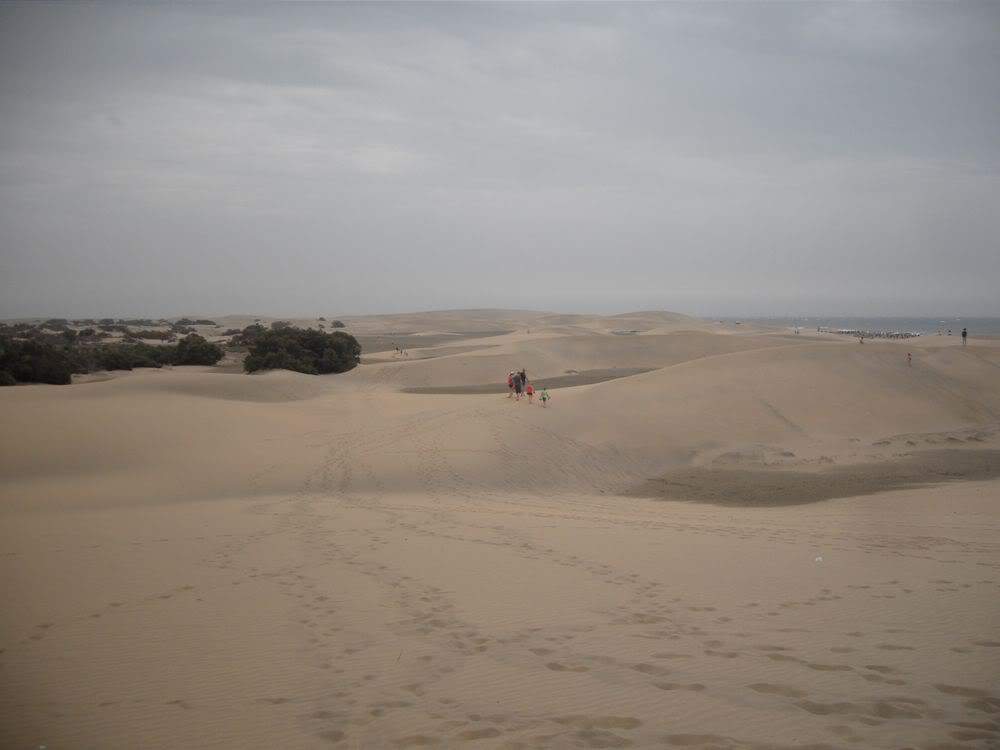 ai1250.photobucket.com_albums_hh522_miglopes_30884a1e.jpg