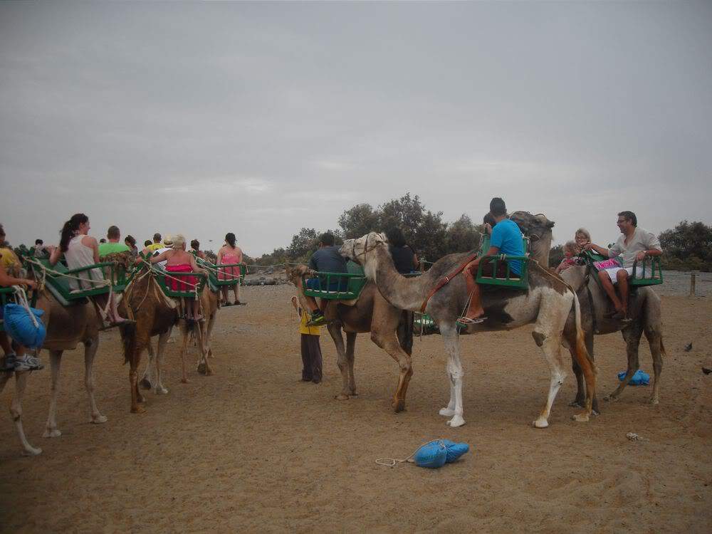 ai1250.photobucket.com_albums_hh522_miglopes_4ce47c31.jpg