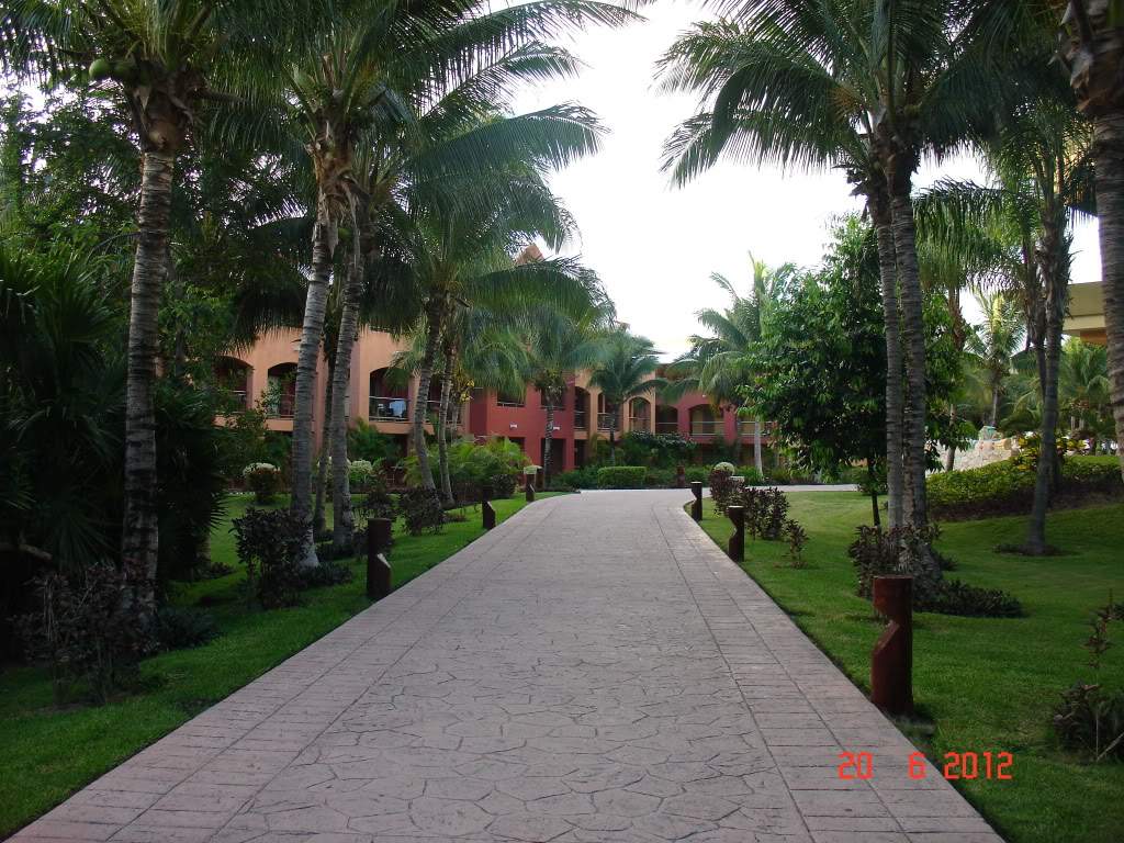 ai1250.photobucket.com_albums_hh525_Soarespjs_DSC00881.jpg