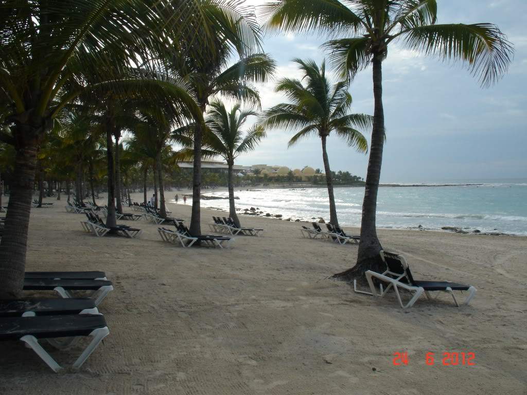 ai1250.photobucket.com_albums_hh525_Soarespjs_DSC01420.jpg