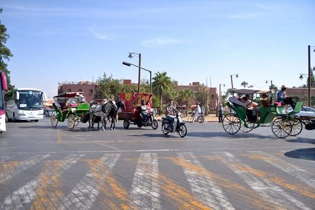 ai1250.photobucket.com_albums_hh527_TiagoMartinss_Marrakech_DSC_0143Cpia_zps733866ca.jpg
