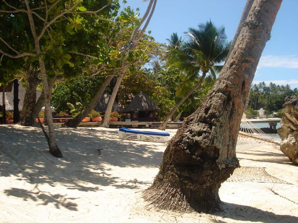 ai1250.photobucket.com_albums_hh532_sifpereira_Bora_20Bora_DSC00062.jpg