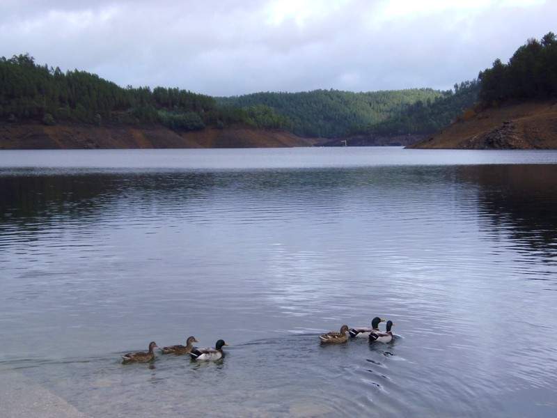 ai1254.photobucket.com_albums_hh618_andredoc1_Hotel_20da_20Mon2926cf81066bad09e7defde3d390d63c.jpg