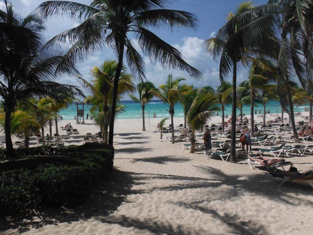 ai1267.photobucket.com_albums_jj547_Nando_Parente_DSCF0074_zpsbd156a9b.jpg
