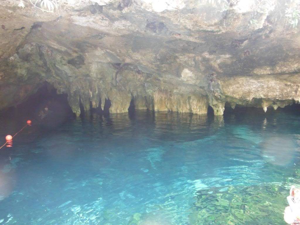 ai1267.photobucket.com_albums_jj547_Nando_Parente_DSCF0299_zpse93c9d4f.jpg