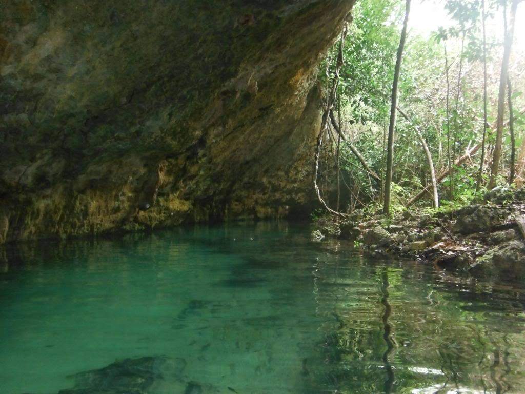 ai1267.photobucket.com_albums_jj547_Nando_Parente_DSCF0313_zpsfb4d30ef.jpg