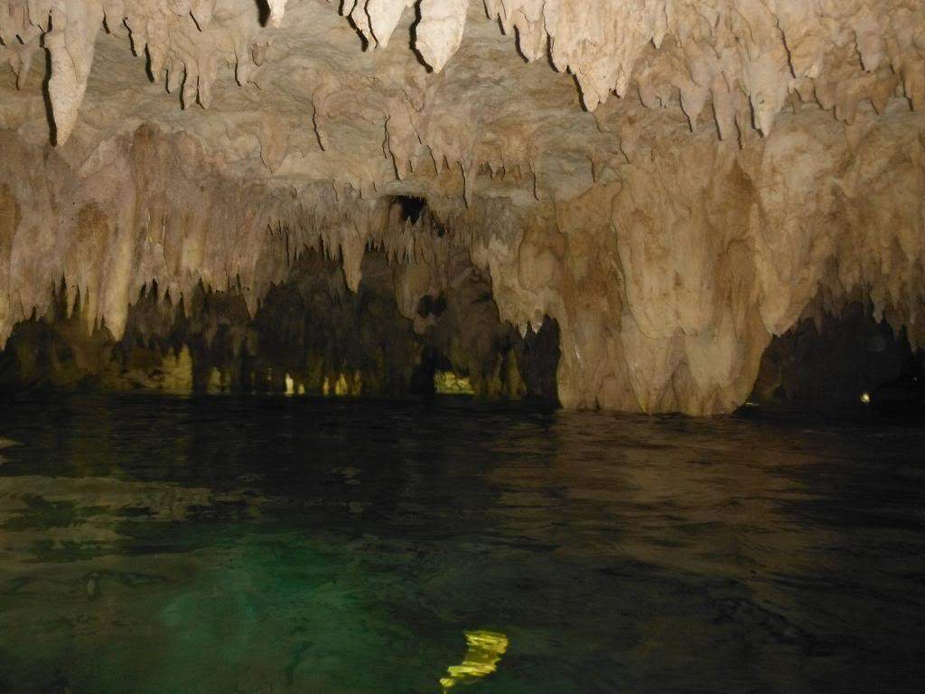 ai1267.photobucket.com_albums_jj547_Nando_Parente_DSCF0338_zps6b80cf65.jpg