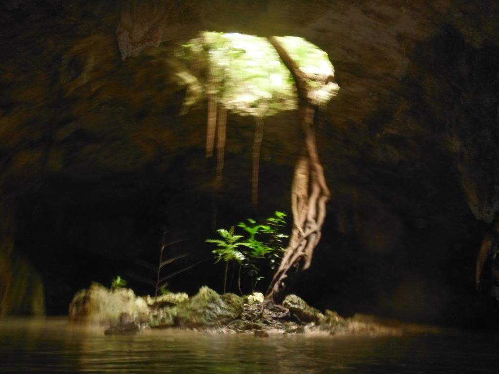 ai1267.photobucket.com_albums_jj547_Nando_Parente_DSCF0350_zps3c059cb6.jpg