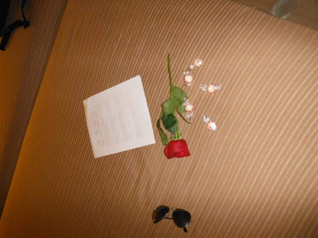 ai1267.photobucket.com_albums_jj547_Nando_Parente_DSCF0362_zps8223a3bb.jpg