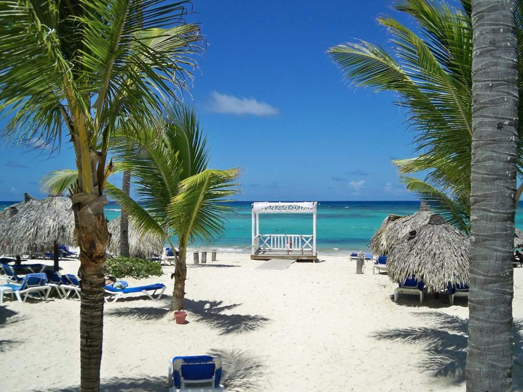 ai1268.photobucket.com_albums_jj565_TascadePalmeira_Praia1.jpg