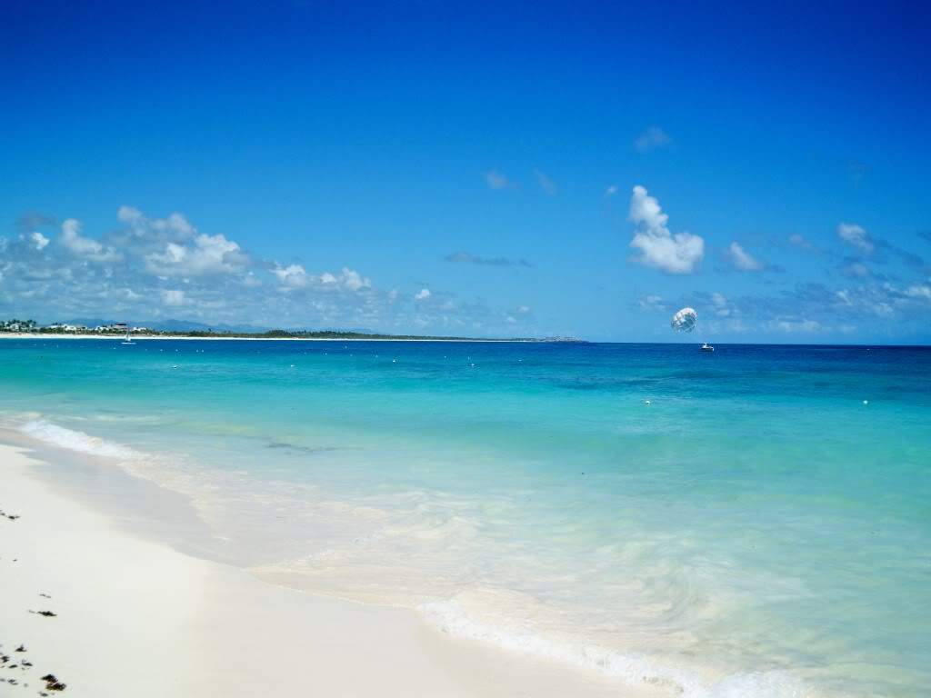 ai1268.photobucket.com_albums_jj565_TascadePalmeira_Praia2.jpg
