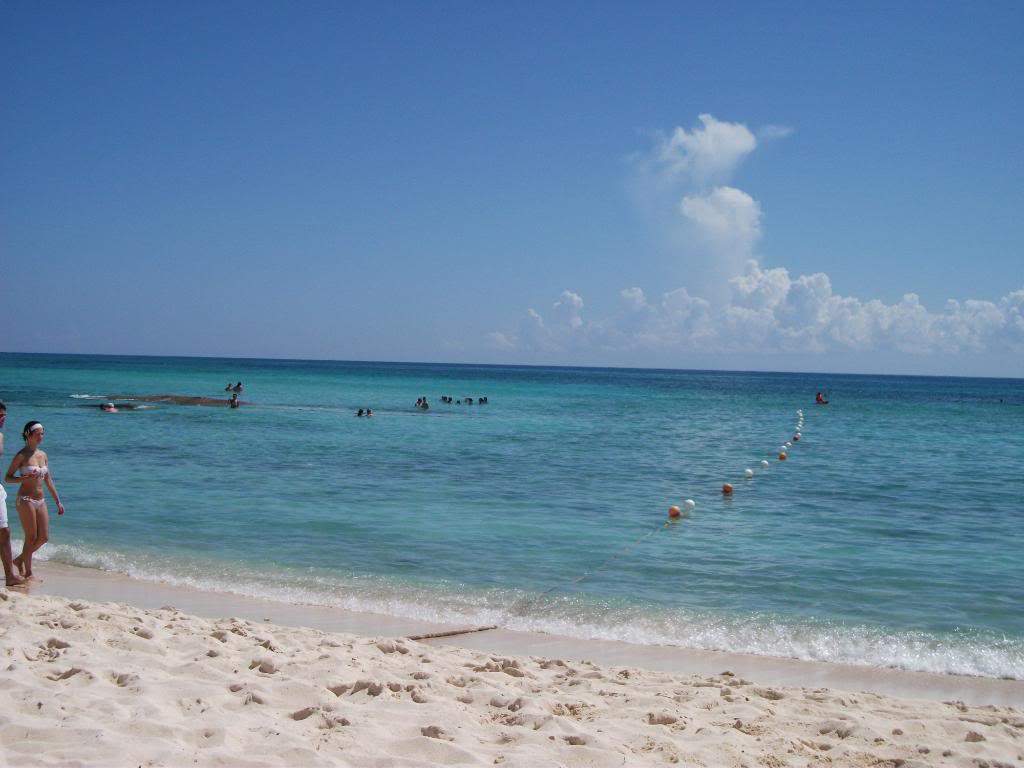 ai1269.photobucket.com_albums_jj592_BrunoMachado7_DSCF2419.jpg