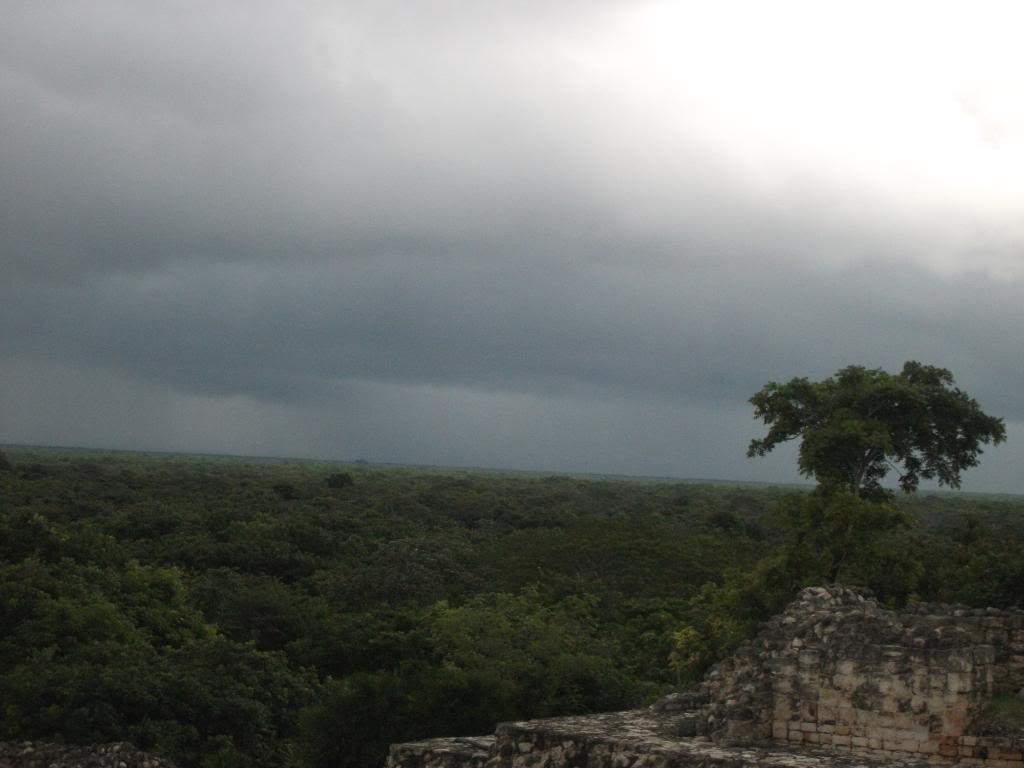 ai1269.photobucket.com_albums_jj592_BrunoMachado7_DSCF2513.jpg