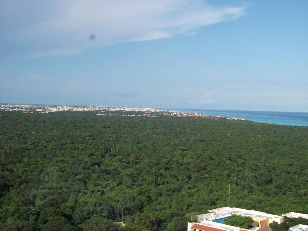 ai1269.photobucket.com_albums_jj592_BrunoMachado7_DSCF2733.jpg