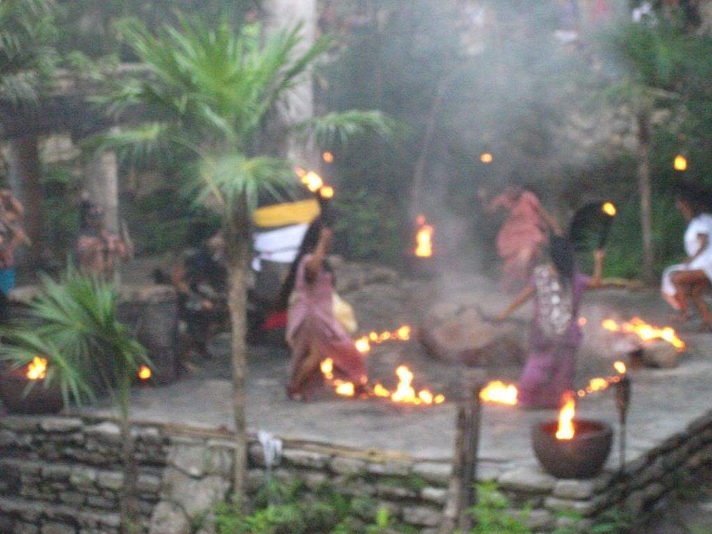 ai1269.photobucket.com_albums_jj592_BrunoMachado7_DSCF2762.jpg